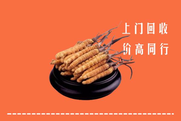 吉安永新回收散虫草