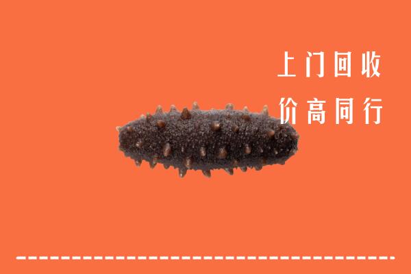 吉安永新回收海参
